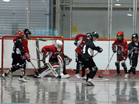 Hockey at Pitt Meadows Arena